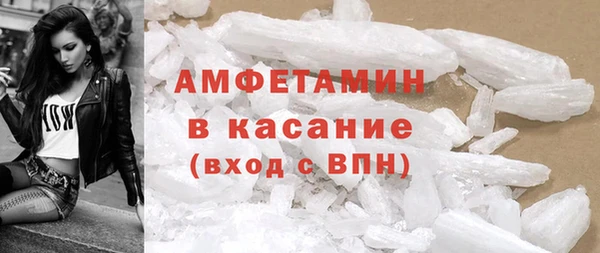индика Козловка