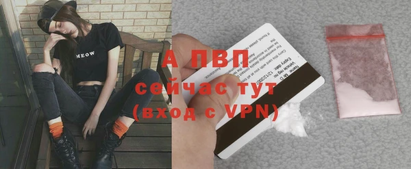 индика Козловка