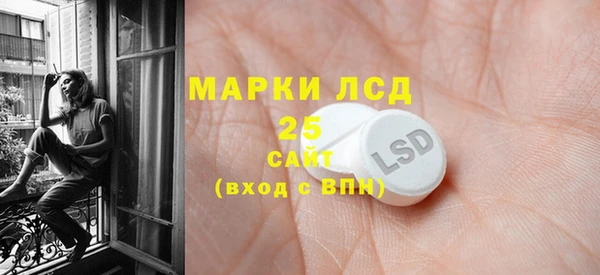 индика Козловка