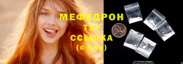 индика Козловка