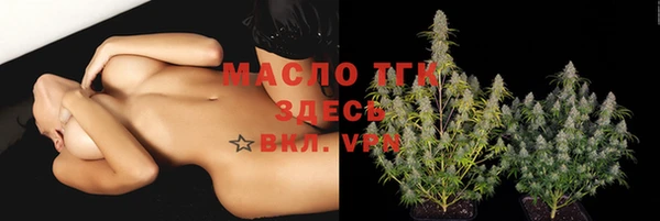 индика Козловка
