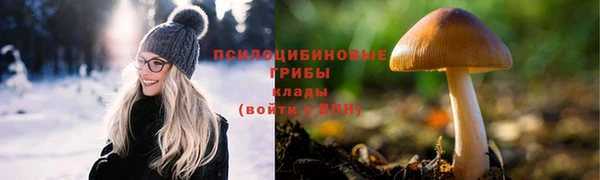 дурь Коряжма