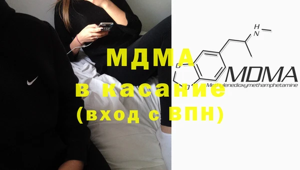 индика Козловка