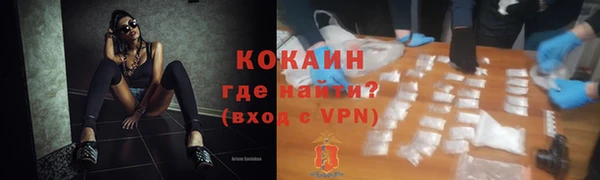 индика Козловка