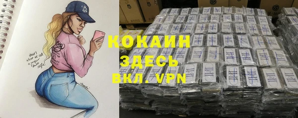 индика Козловка