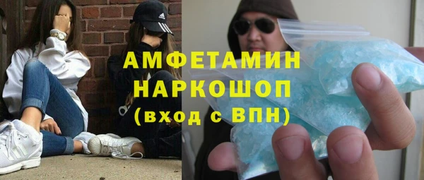 индика Козловка